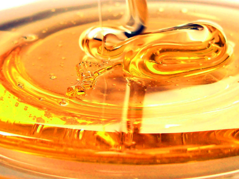 Zafferana: commerciante denunciata perché detiene 56 kg di miele in cattivo stato di conservazione