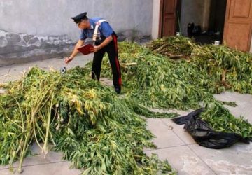 Catania: intercettato carico di droga. Sequestrati 1.000 kg di canapa indiana