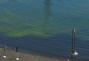 L’acqua “verde” del mare di Stazzo: i risultati delle analisi