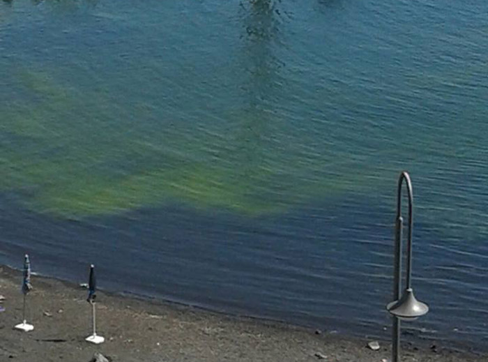 Ed il mare di Stazzo si colora di verde…