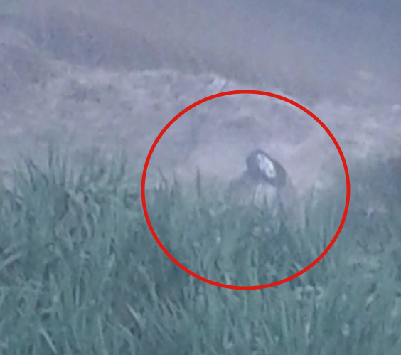 Paura a Giarre: auto finisce nel torrente Macchia. Attivato il Coc, domani scuole chiuse. A 18 chiusa per frana