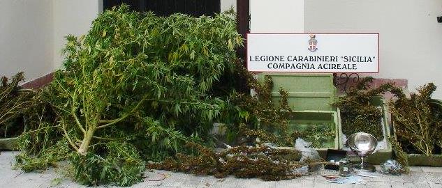 Acireale: 3 arresti per coltivazione e detenzione ai fini di spaccio di droghe