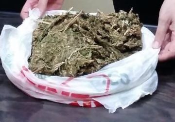 Giarre, carabinieri sequestrano mezzo chilo di marijuana: 1 arresto e 2 denunce