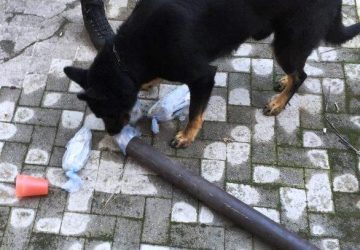 Acireale, madre e figlio nascondevano droga nella grondaia. Arrestati