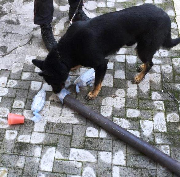 Acireale, madre e figlio nascondevano droga nella grondaia. Arrestati