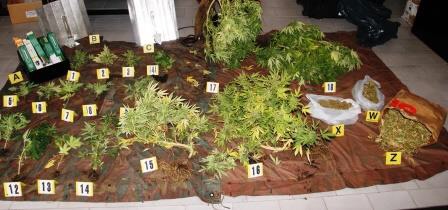 Catania: insospettabile con un chilo di “marijuana” di “produzione propria” nell’armadio