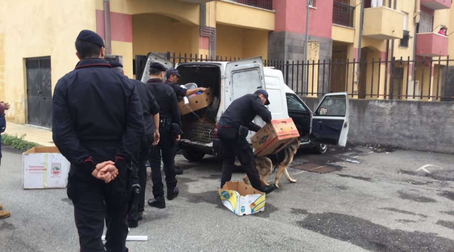 Operazione quartiere Jungo, rimessi in libertà i 4 fermati