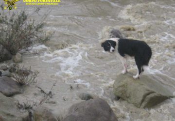 Allerta Meteo: la situazione a Randazzo e Maniace