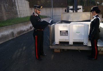 Macellazione clandestina nel parco dei Nebrodi. Denunciato un veterinario di Gaggi