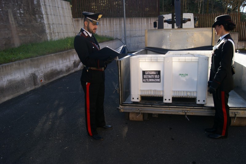 Macellazione clandestina nel parco dei Nebrodi. Denunciato un veterinario di Gaggi
