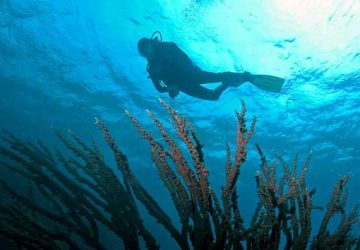 Acireale: sub accusa malore a Capomulini. Soccorso dalla Guardia Costiera