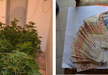 Catania: arrestato 27enne incensurato. Aveva creato in casa un redditizio vivaio