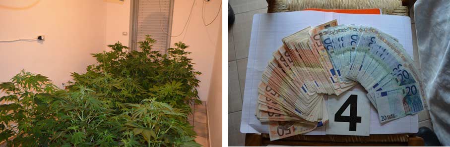 Catania: arrestato 27enne incensurato. Aveva creato in casa un redditizio vivaio