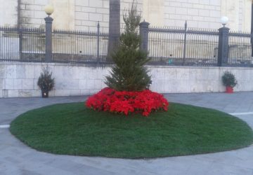 Giarre: cittadini si autotassano e installano albero di Natale per i bambini