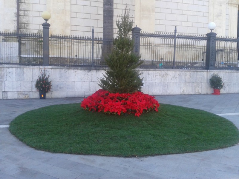 Giarre: cittadini si autotassano e installano albero di Natale per i bambini
