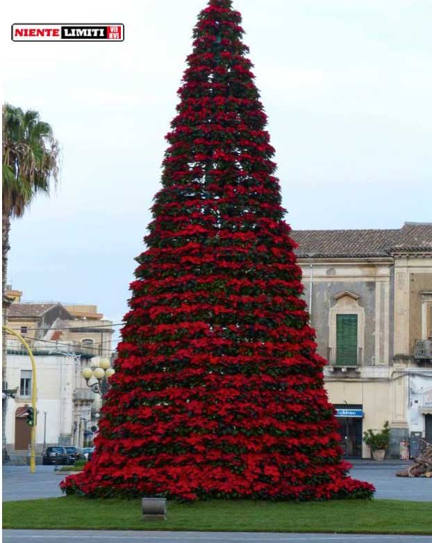 Natale a Giarre: forse il prossimo anno