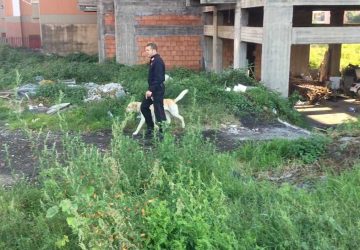 Giarre, quartiere Jungo di nuovo al setaccio VIDEO