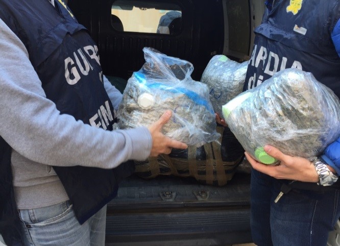 Imponente sequestro di marijuana. Colpo delle Fiamme gialle