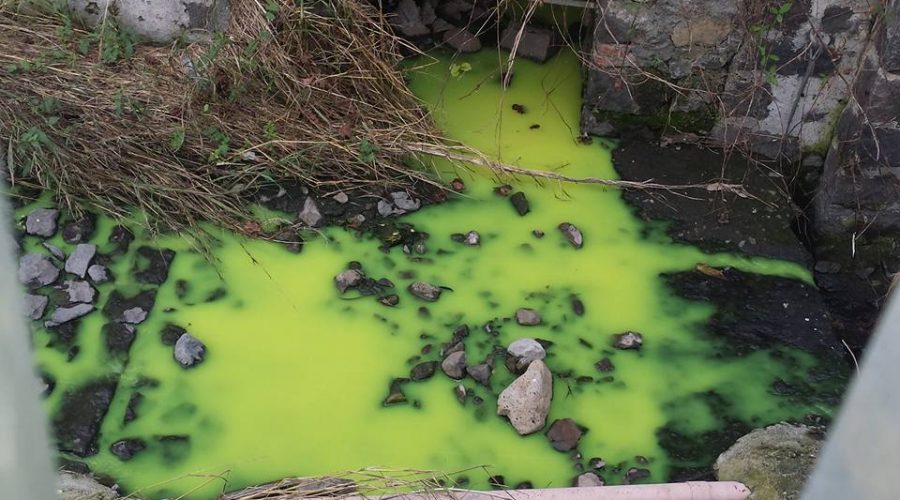 A Giarre un singolare fiume verde: gli scarichi della Zona artigianale finiti nel torrente
