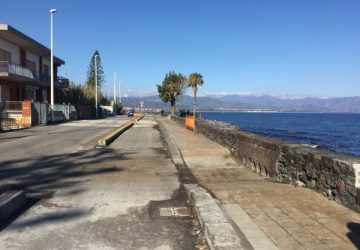 Riposto, in corso eliminazione esemplari di fitolacca