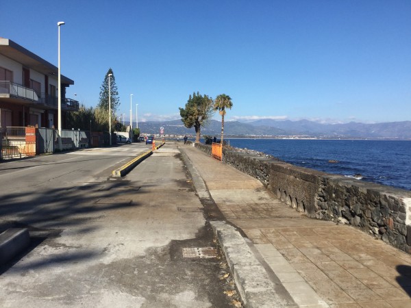 Riposto, in corso eliminazione esemplari di fitolacca