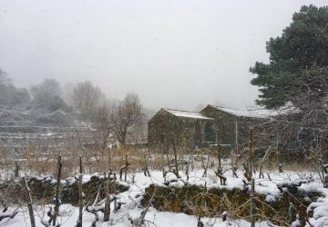 Emergenza neve scuole chiuse a S.Alfio. Il sindaco Nicotra: lasciati soli