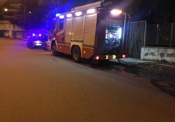 Giarre, nuova azione vandalica al parco Jungo. Incendiate cinque palme VD