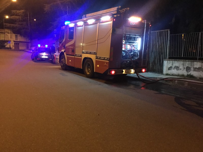 Giarre, nuova azione vandalica al parco Jungo. Incendiate cinque palme VD