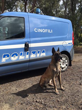 Controlli antidroga a Librino, rinvenuta marijuana