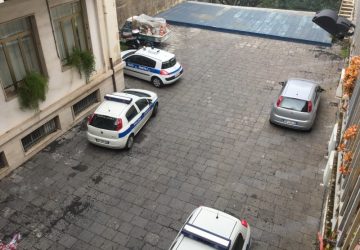 Giarre, cortile del Municipio: ecco la teoria del gatto e del topo