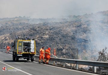 Lavoratori forestali ancora al verde