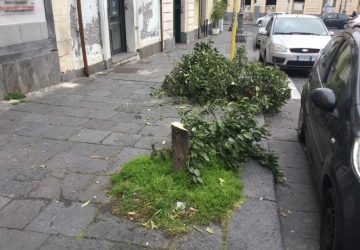 Giarre, via Pirandello, ignobile atto vandalico. Un commerciante: manca la legalità
