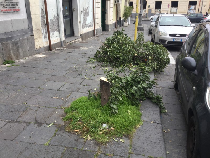 Giarre, via Pirandello, ignobile atto vandalico. Un commerciante: manca la legalità