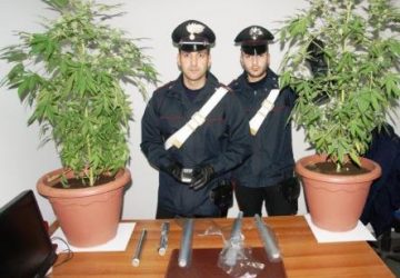 Randazzo, arrestato un 21enne per produzione di sostanze stupefacenti