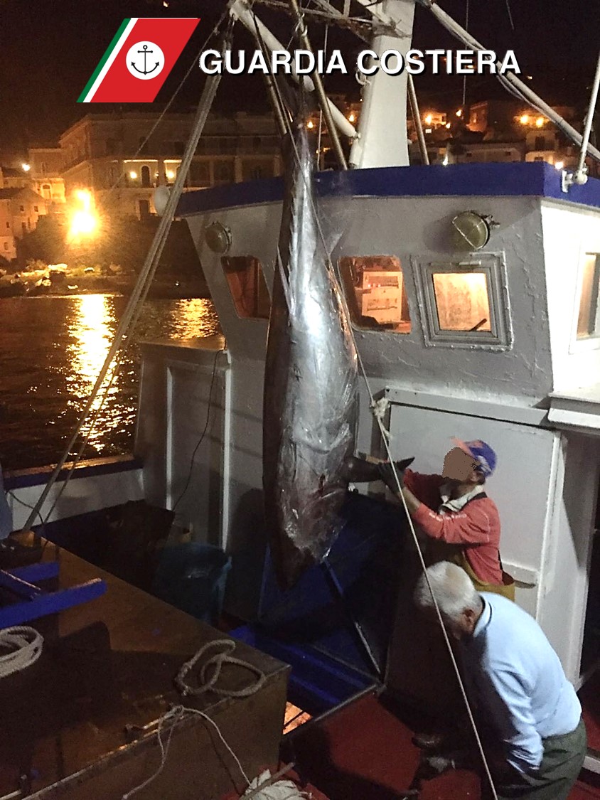 Pesca illegale di tonno rosso, sequestro pescherecci di Riposto e S.Maria la Scala