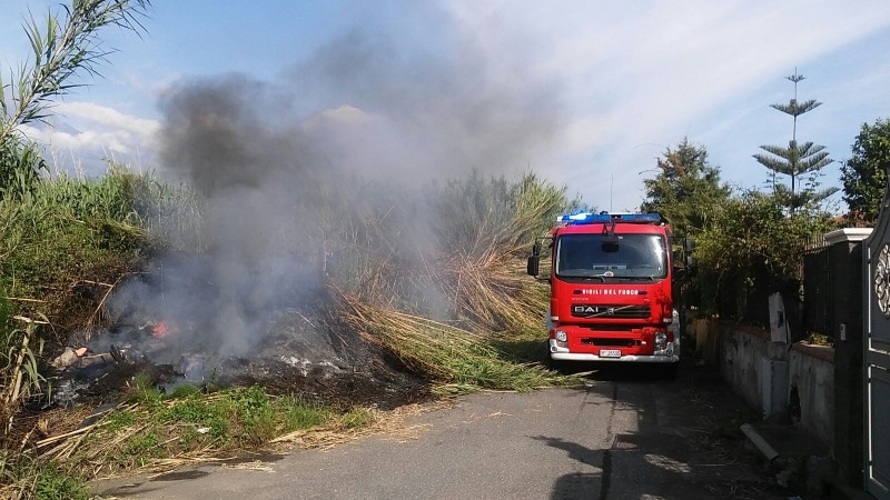 Mascali, incendio in un canneto