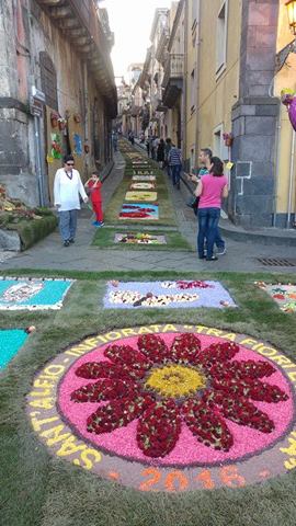 Infiorata e ciliegia per una S. Alfio d&rsquo;elite