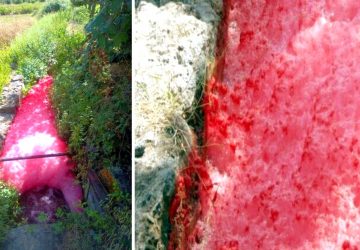 Agricoltura &ldquo;in rosso&rdquo; a Francavilla di Sicilia