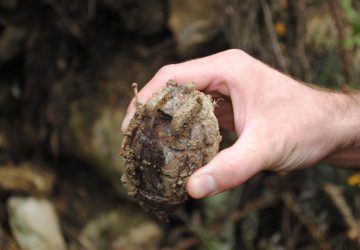 Giarre, rinvenuto residuato bellico. Fatto brillare da artificieri