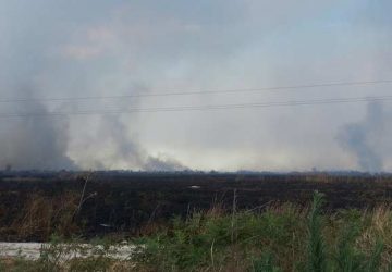 Incendio sterpaglie in un terreno a Montargano