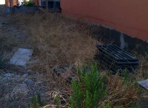 Aci Trezza: ordinanza antincendio del sindaco ignorata