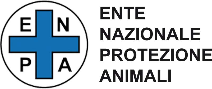 Giarre, cane trascinato con lo scooter: interviene l’Enpa che attiva l’ufficio legale