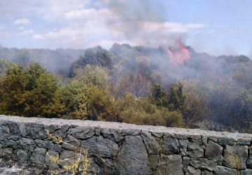 Ragalna, arrestata una piromane romena