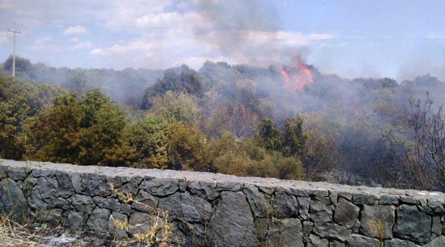 Ragalna, arrestata una piromane romena