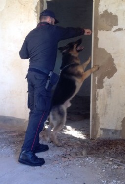 Mascalucia, controlli straordinari Cc