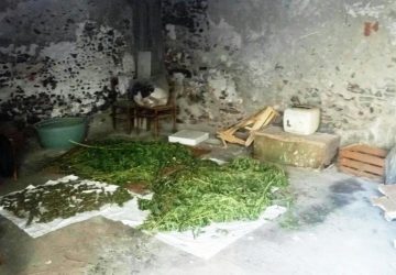 Patern&ograve;: nascondeva 19 kg di marijuana nel garage. Arrestato