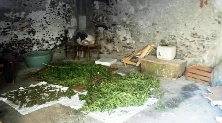Paternò: nascondeva 19 kg di marijuana nel garage. Arrestato