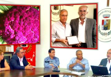 Mojo, &ldquo;cittadinanza onoraria&rdquo; al cavolfiore rosso