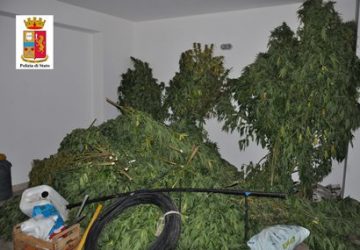 Adrano: rinvenuta piantagione di marijuana. Sequestrati ben 40 kg di droga
