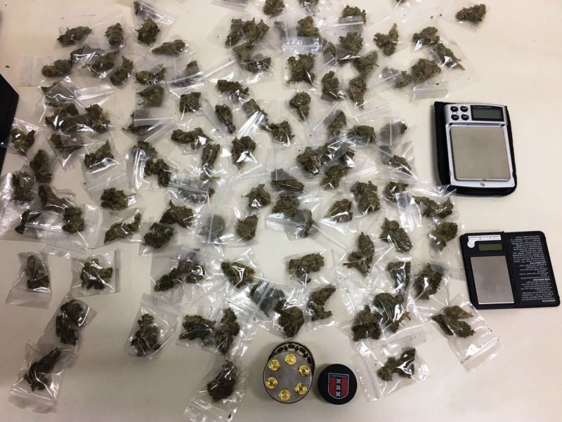 Paternò: sorpreso mentre nascondeva marijuana nelle aiuole di piazza Parco del Sole. Arrestato